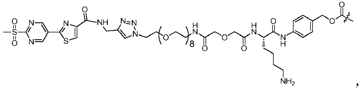 Figure imgb0110