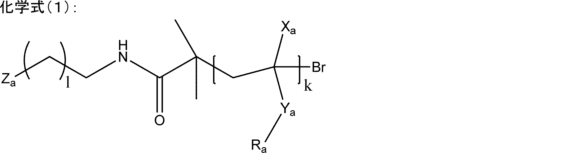 Figure JPOXMLDOC01-appb-C000009