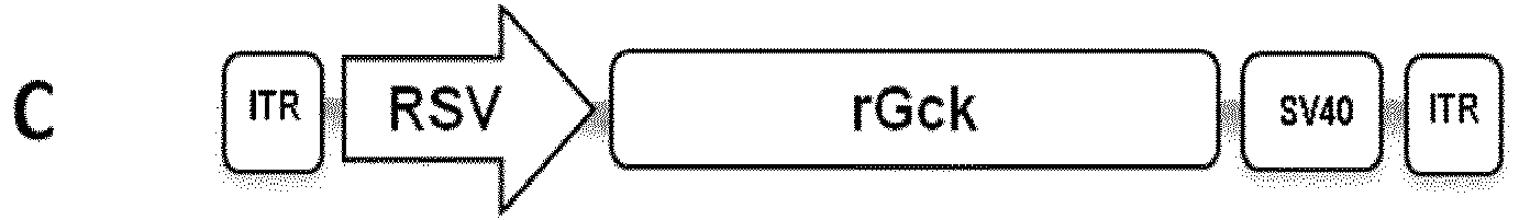 Figure imgb0019
