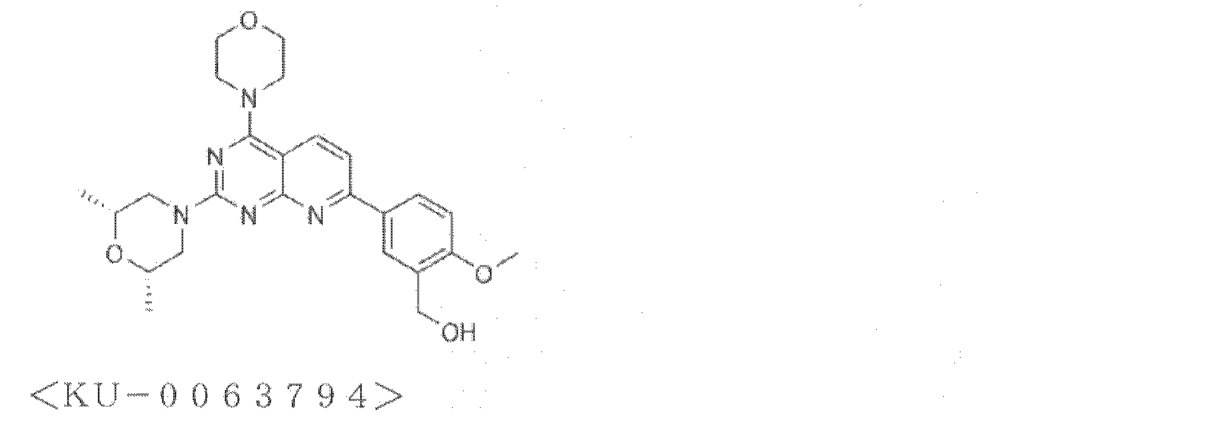 Figure JPOXMLDOC01-appb-C000013