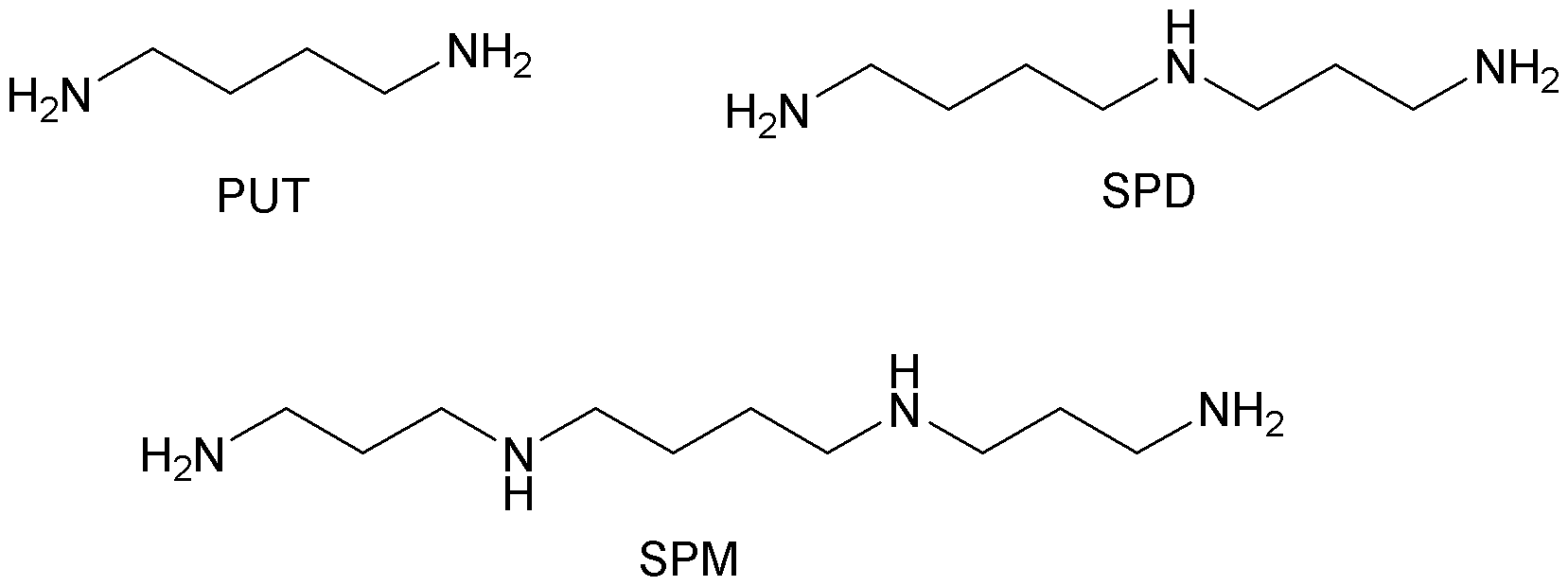 Figure JPOXMLDOC01-appb-C000004