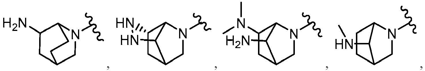Figure imgb0011