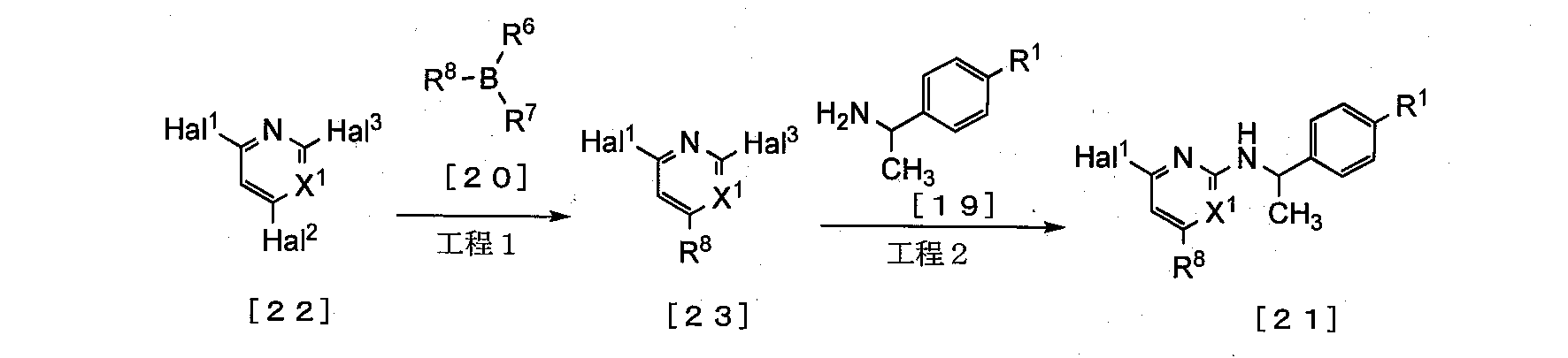 Figure JPOXMLDOC01-appb-C000052