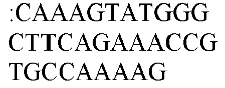 Figure imgb0002