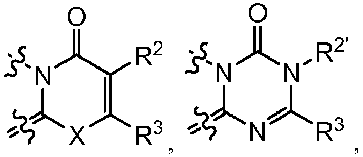 Figure imgb0013