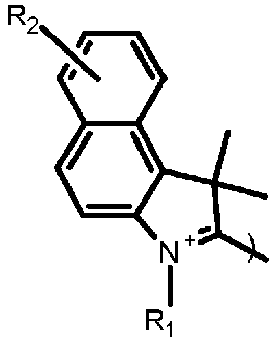 Figure imgb0013