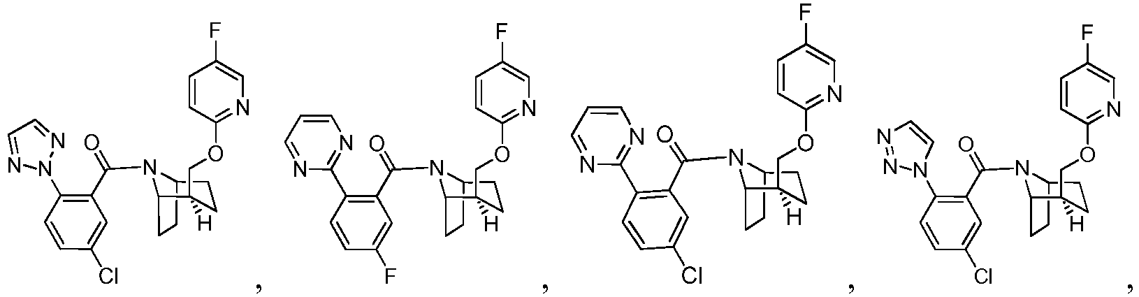 Figure imgb0024