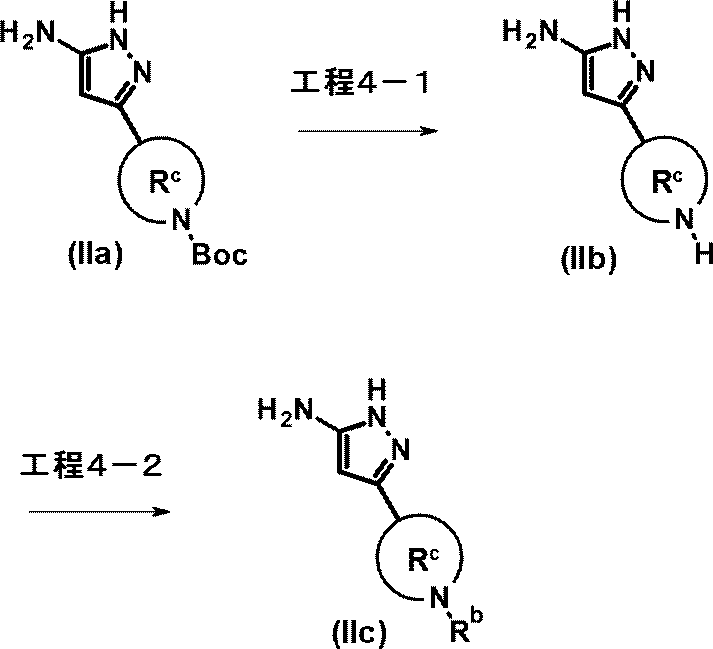 Figure JPOXMLDOC01-appb-C000008