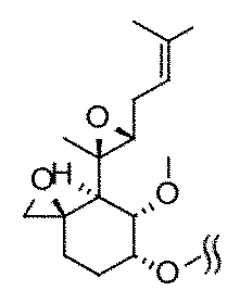 Figure JPOXMLDOC01-appb-C000010