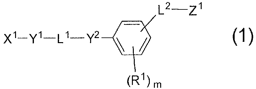 Figure imgb0004