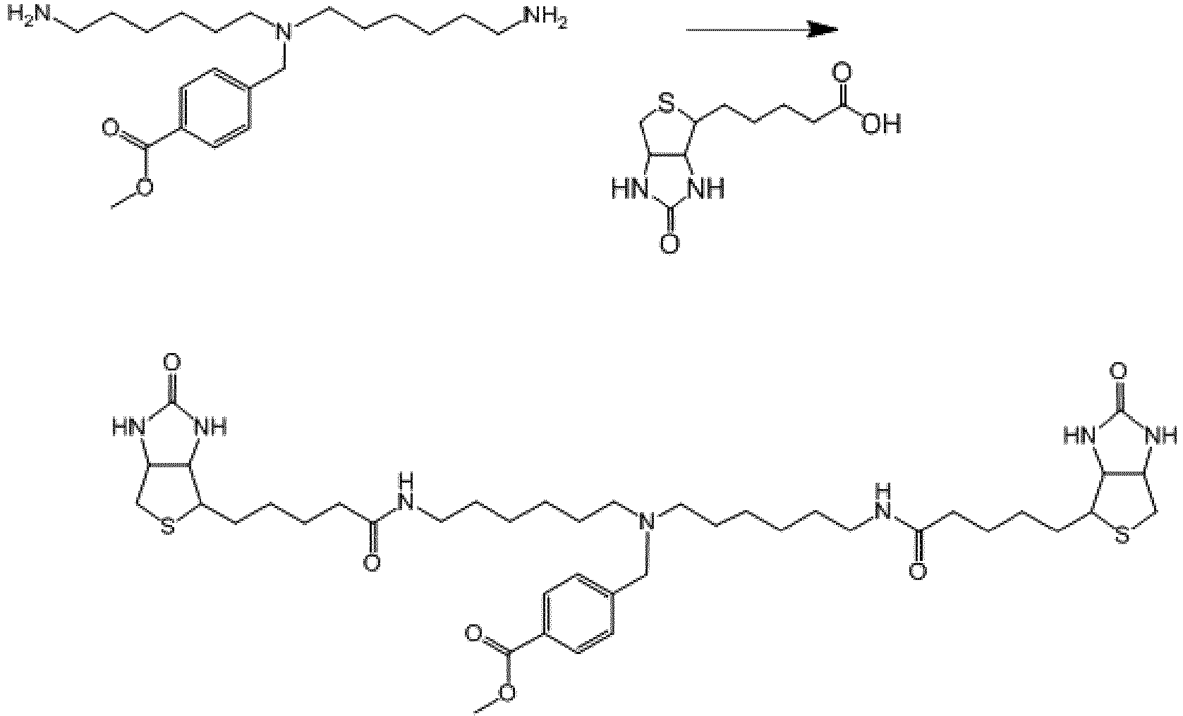 Figure imgb0093