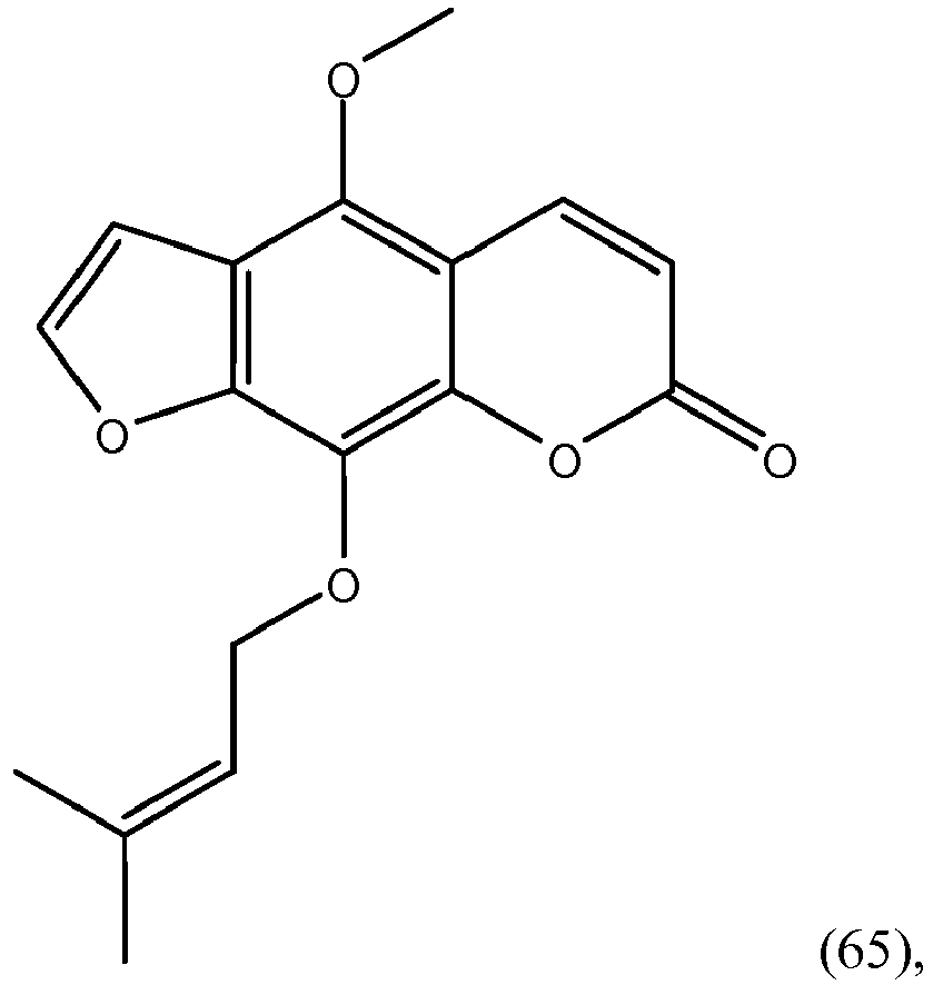 Figure imgb0065