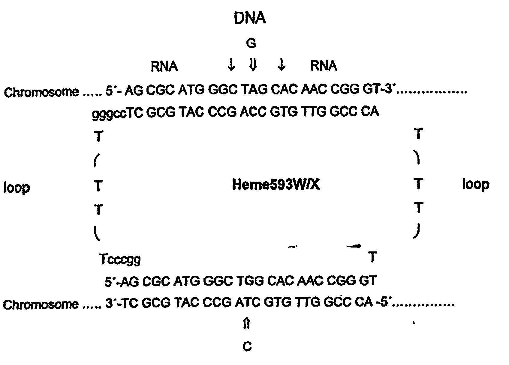 Figure 00480001