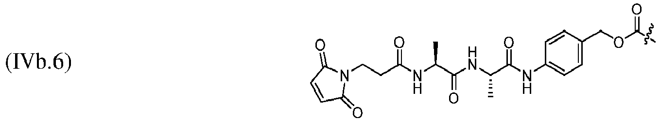 Figure imgb0121