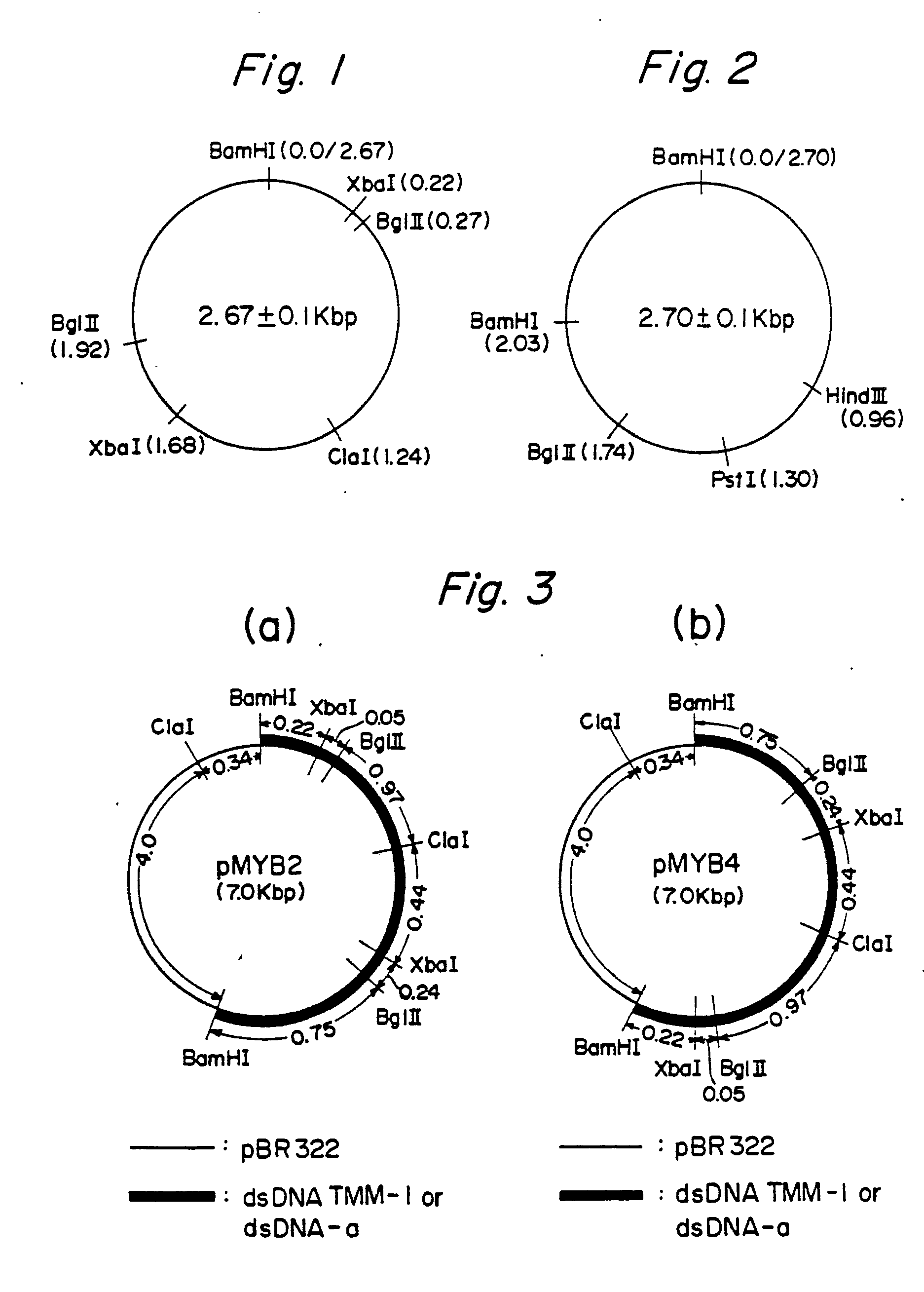 ep0136573b1 novel double stranded dna