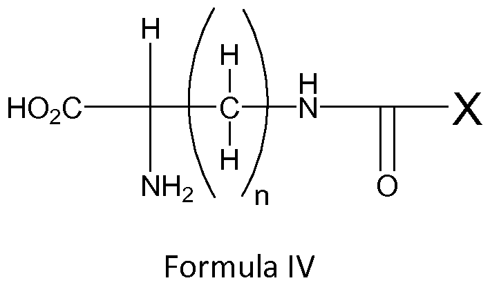 Figure imgf000031_0001
