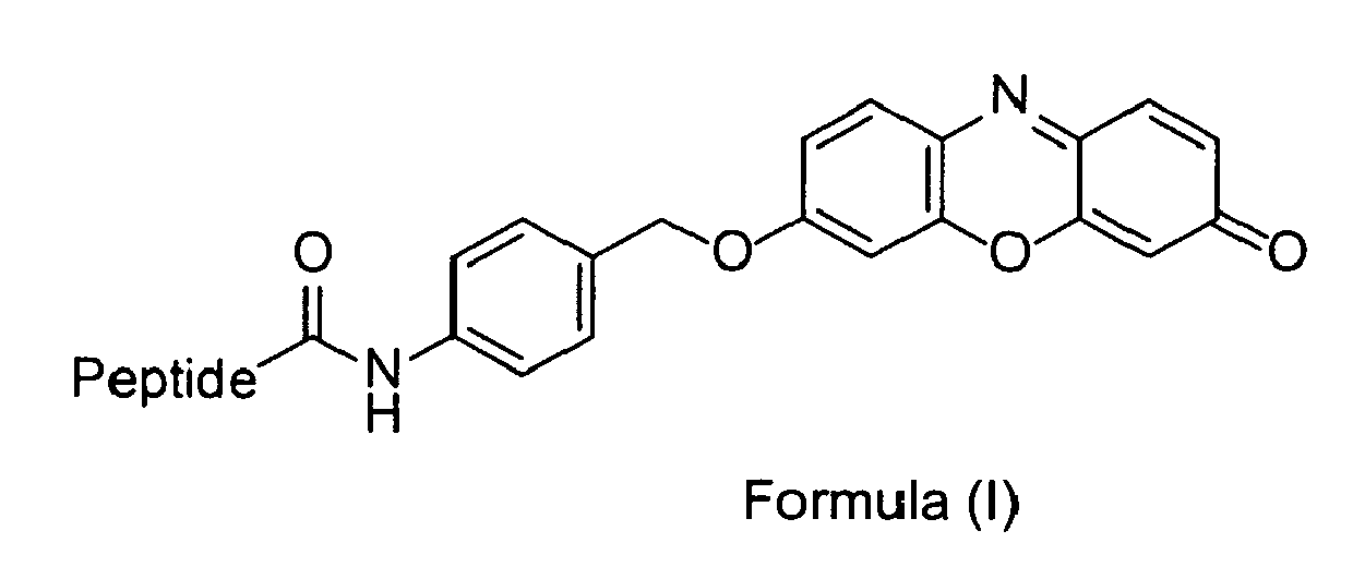 Figure imgb0006