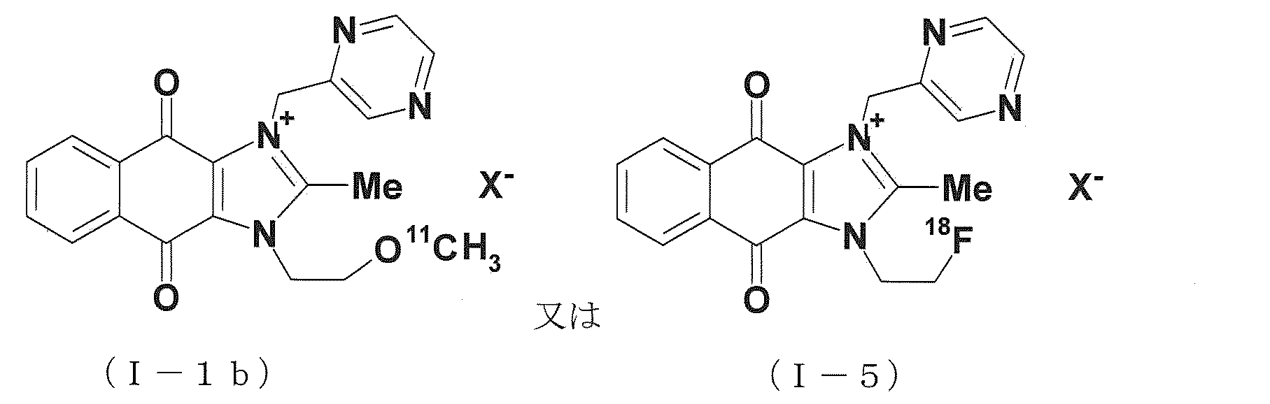 Figure JPOXMLDOC01-appb-C000003