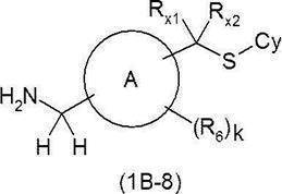 Figure JPOXMLDOC01-appb-C000216