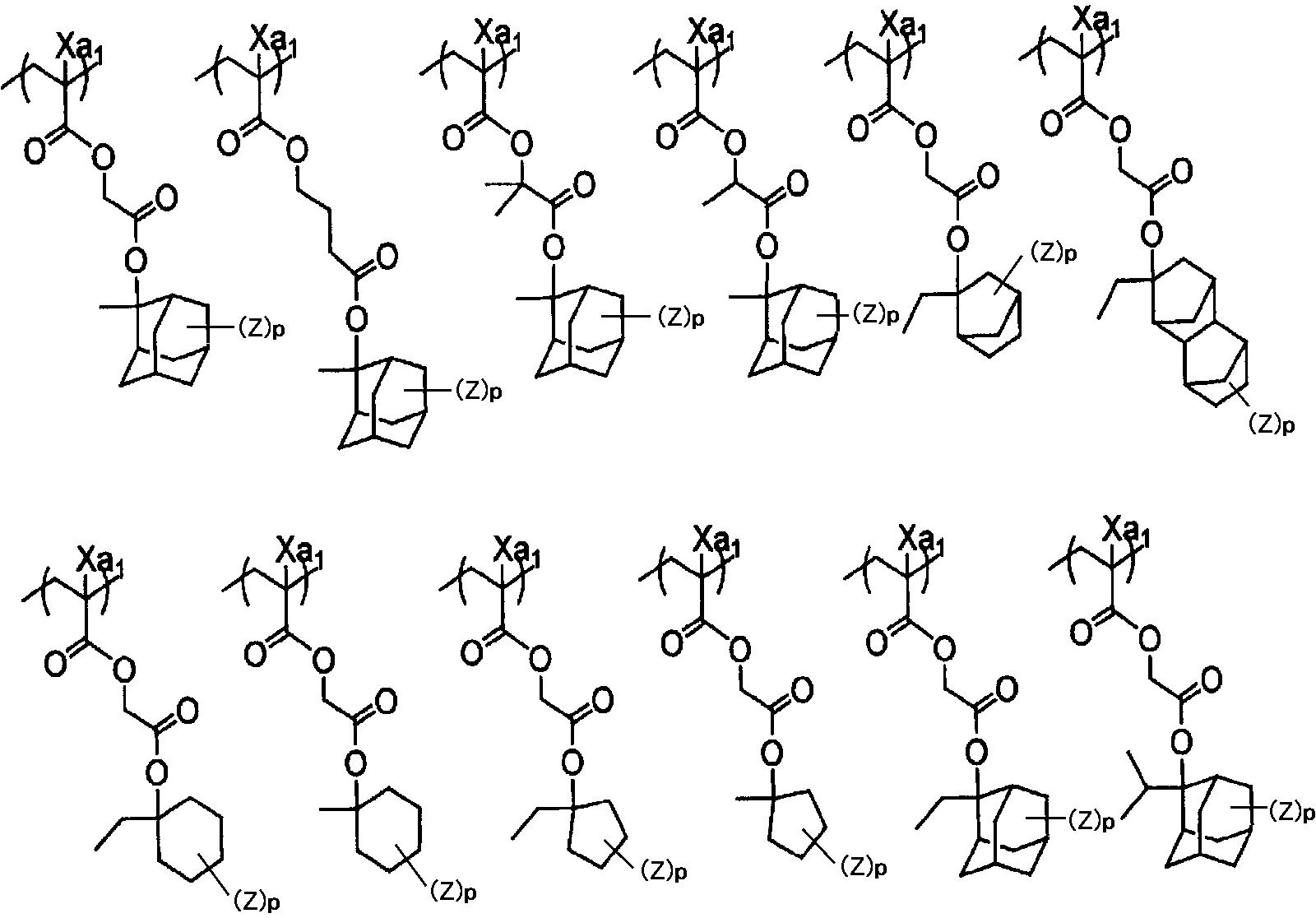 Figure JPOXMLDOC01-appb-C000013