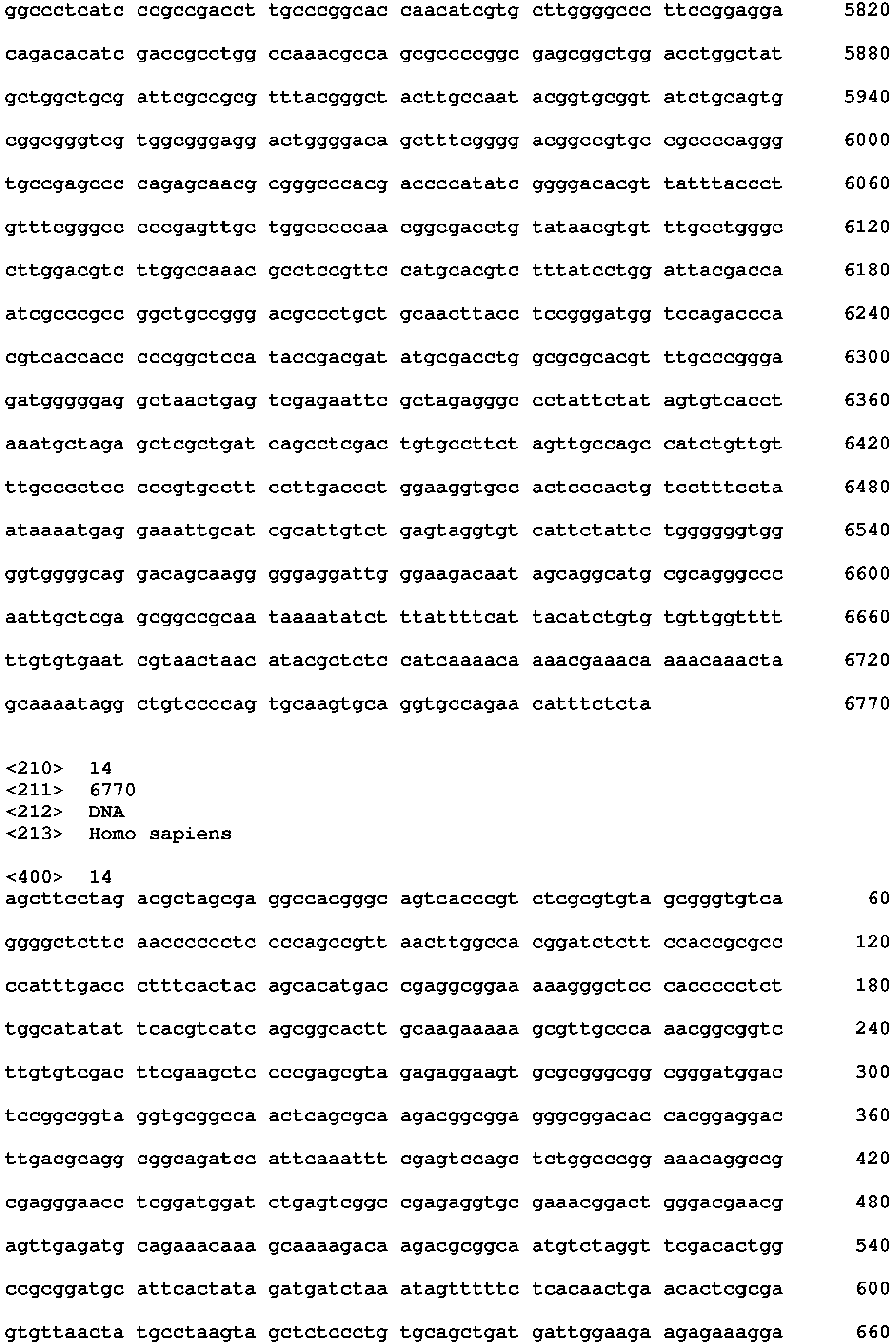 Figure imgb0019