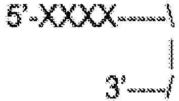Figure imgb0006