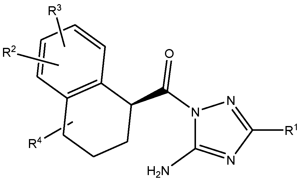Figure imgf000006_0003