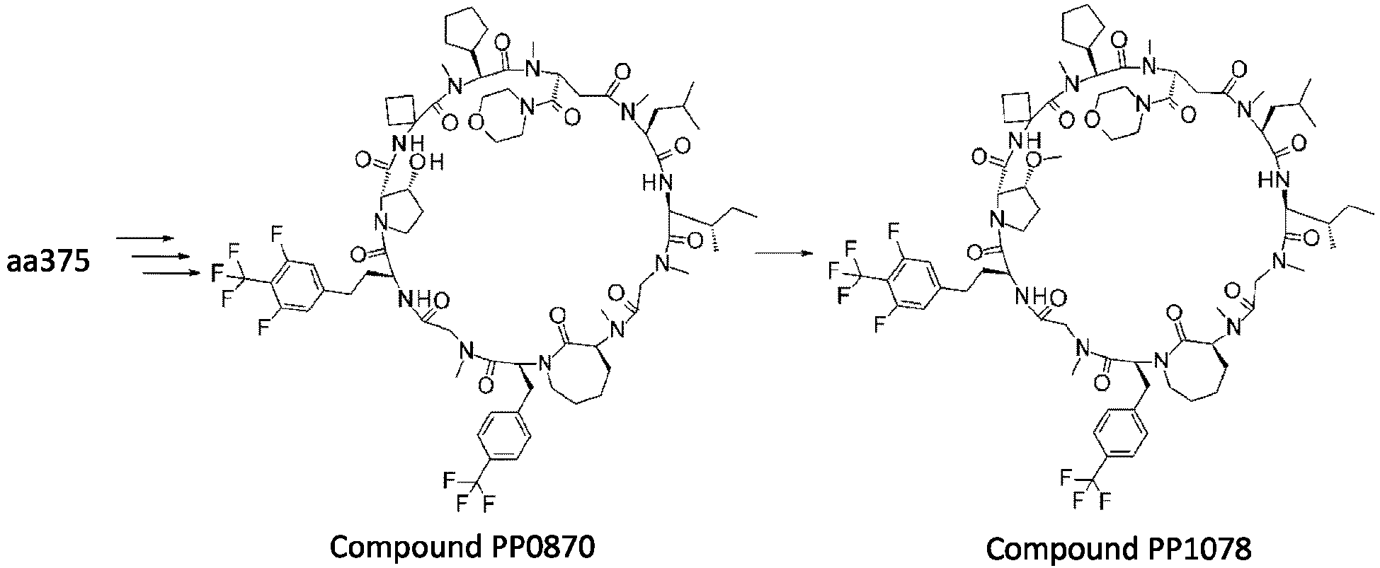 Figure imgb0567