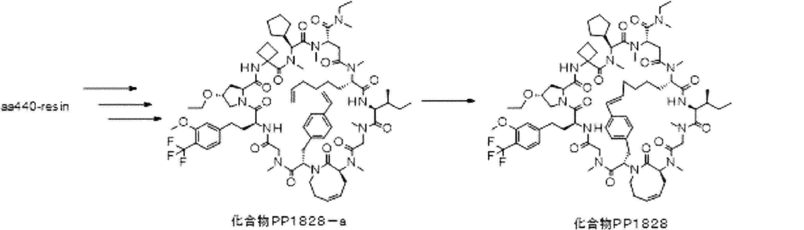 Figure JPOXMLDOC01-appb-I000416