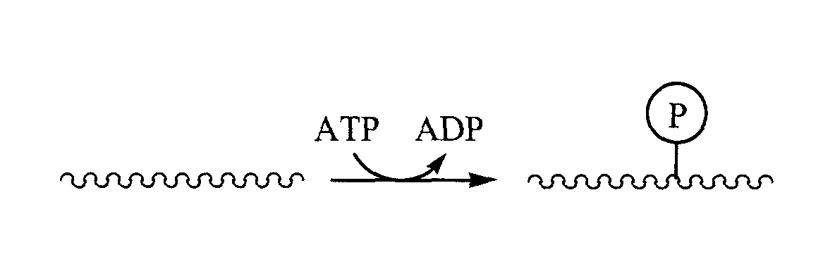 Figure 00270001