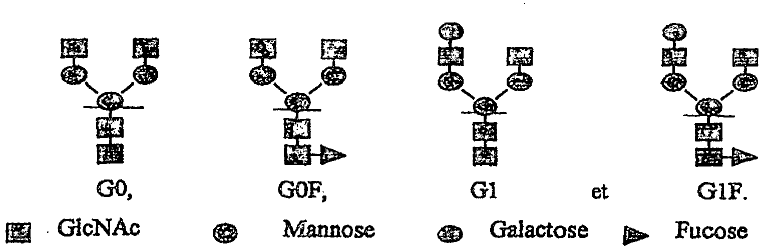 Figure imgb0001