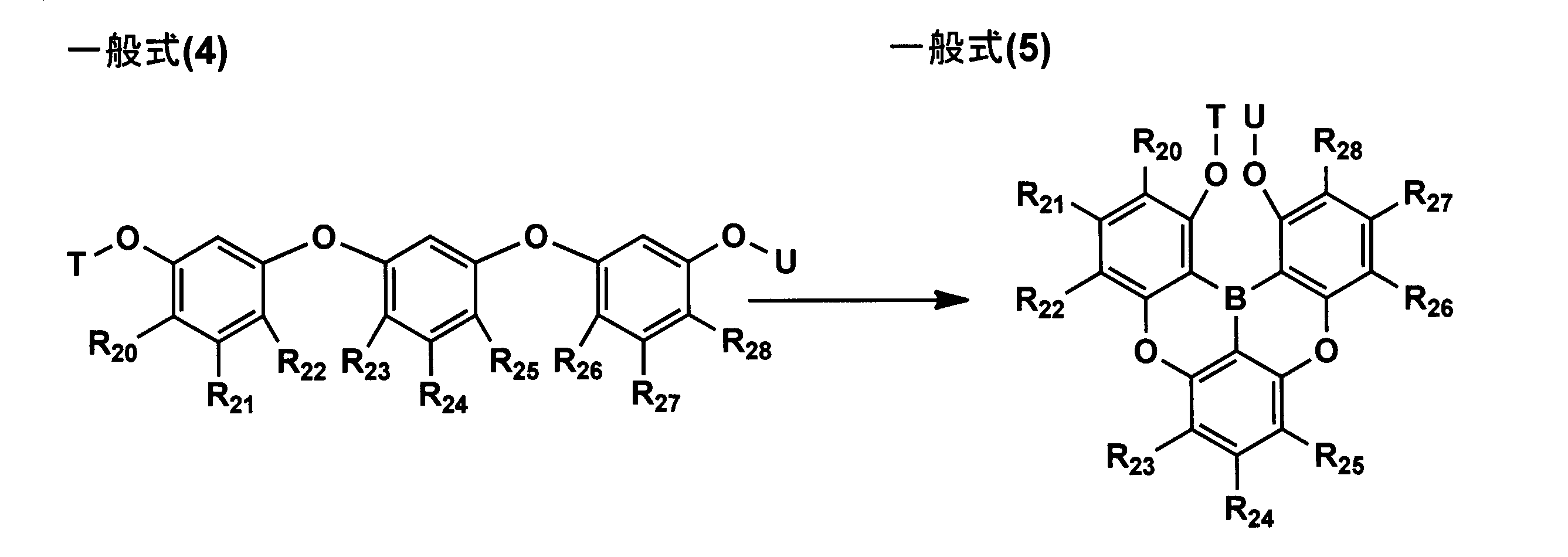 Figure JPOXMLDOC01-appb-C000011
