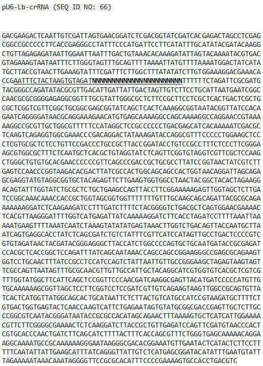 특허 도면 74