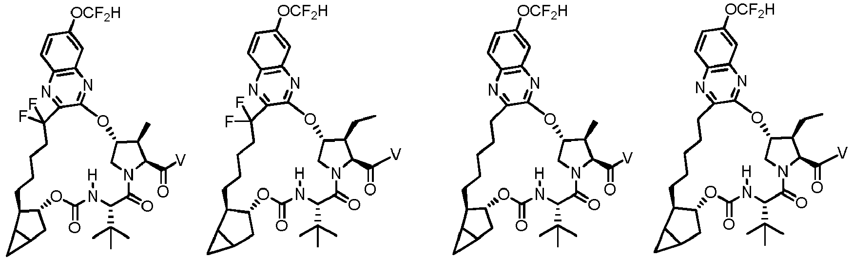 Figure imgb0516