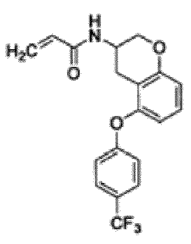 Figure imgb0087