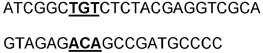 Figure imgb0014