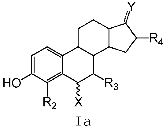 Figure imgb0004