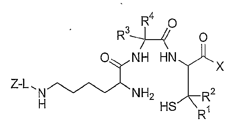 Figure imgb0010