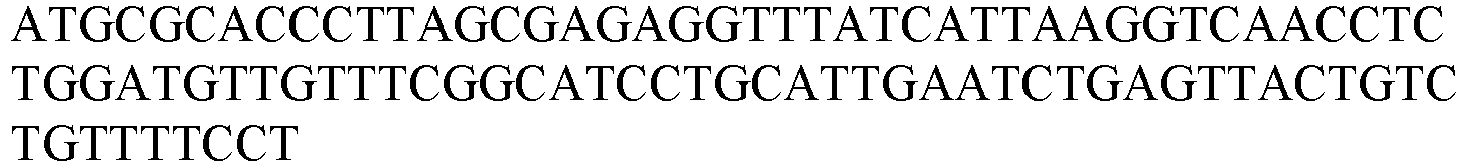 Figure imgb0019