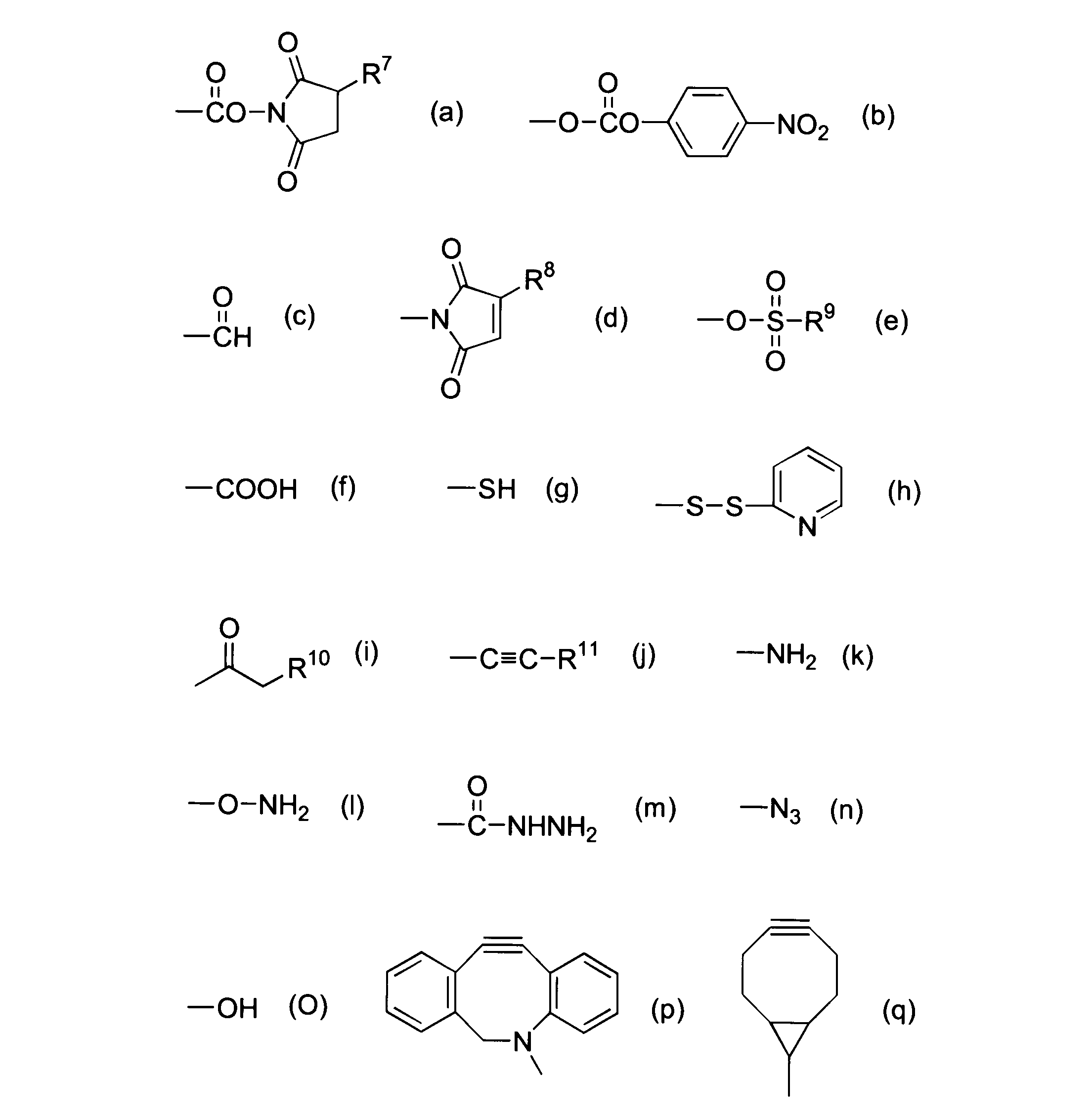Figure JPOXMLDOC01-appb-C000032