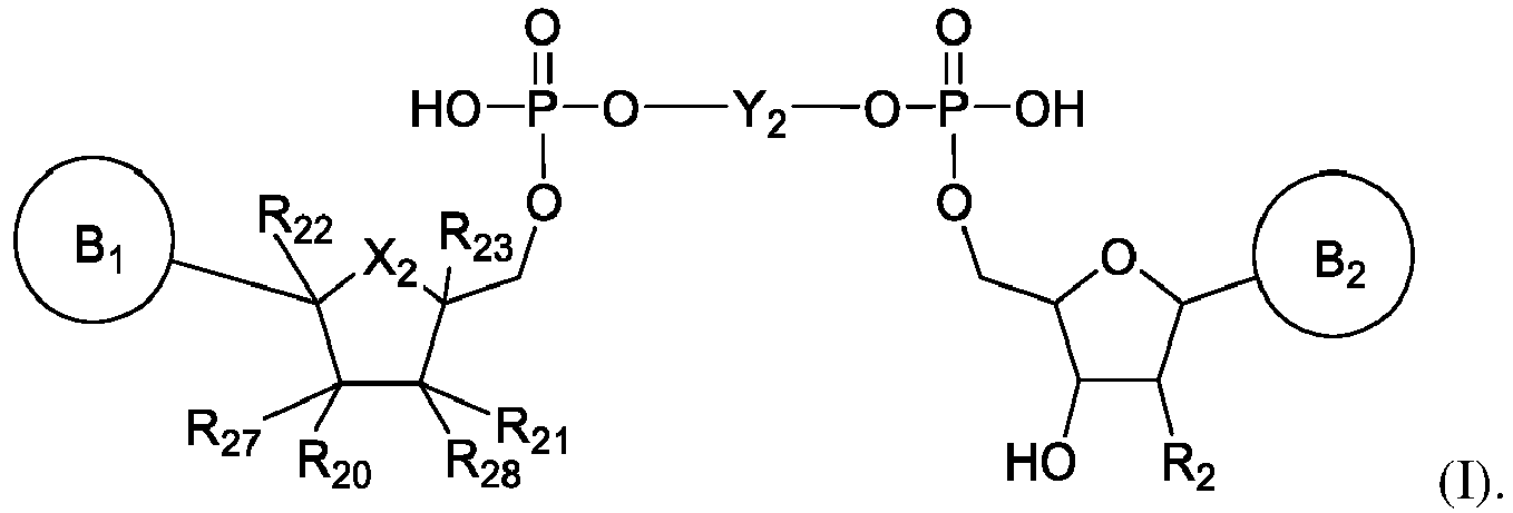 Figure imgb0003