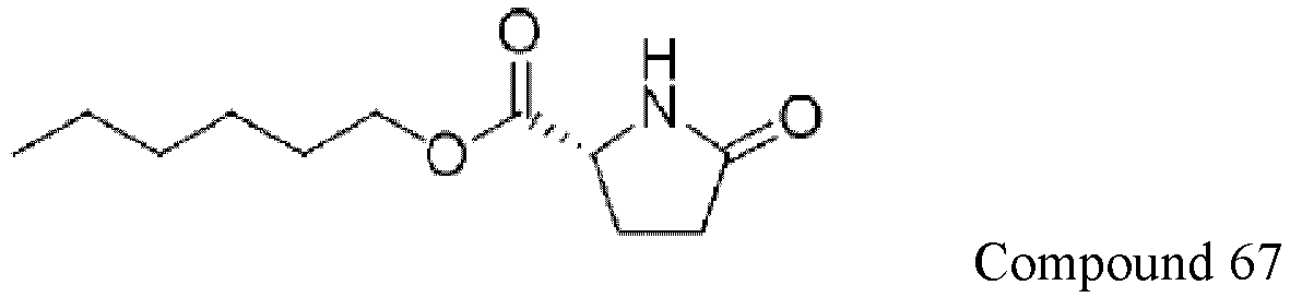 Figure imgb0163