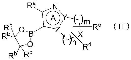 Figure JPOXMLDOC01-appb-C000021