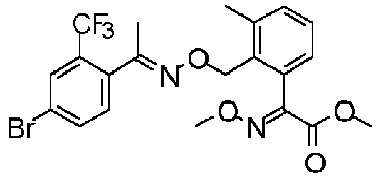 Figure imgb0554