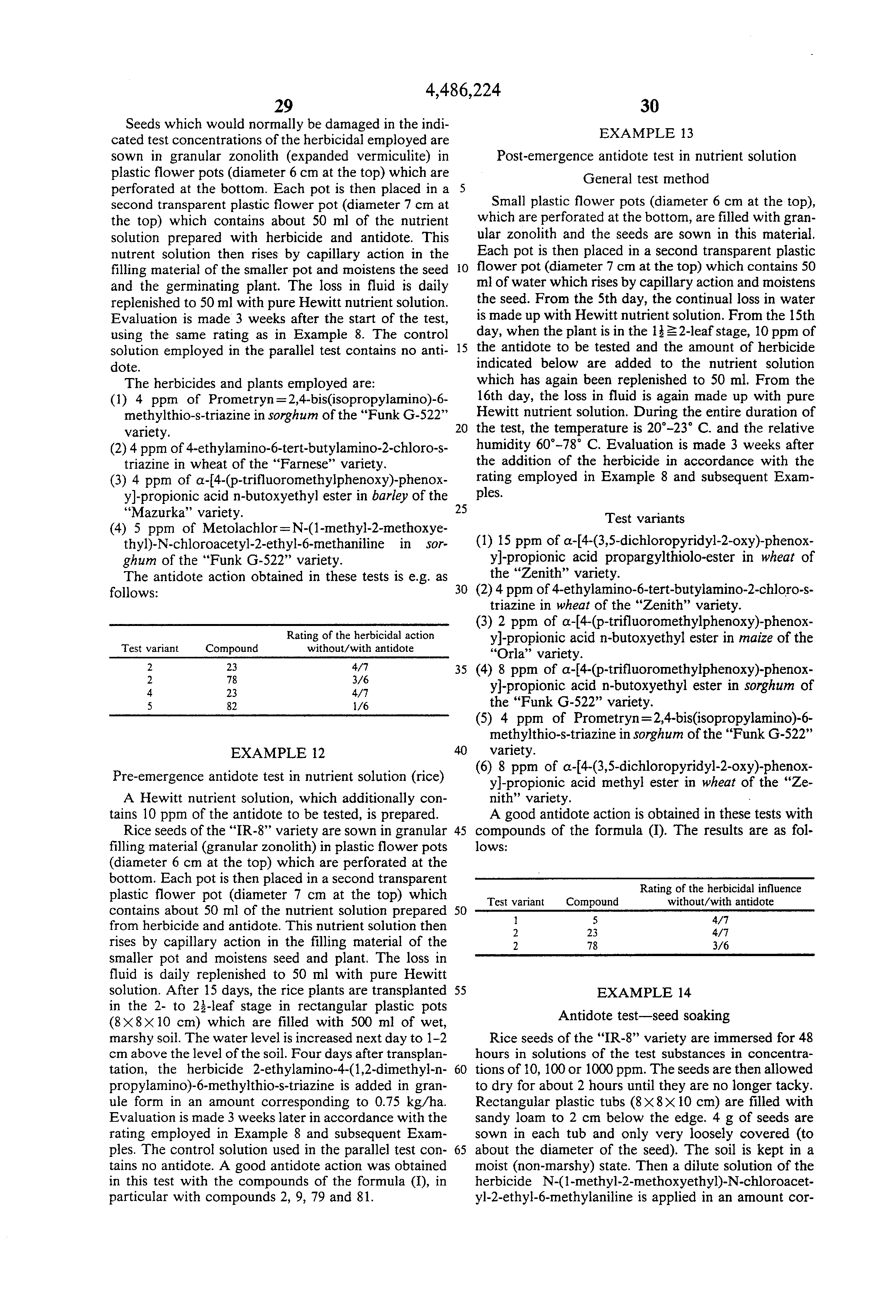 oxime derivatives for protecting plant crops