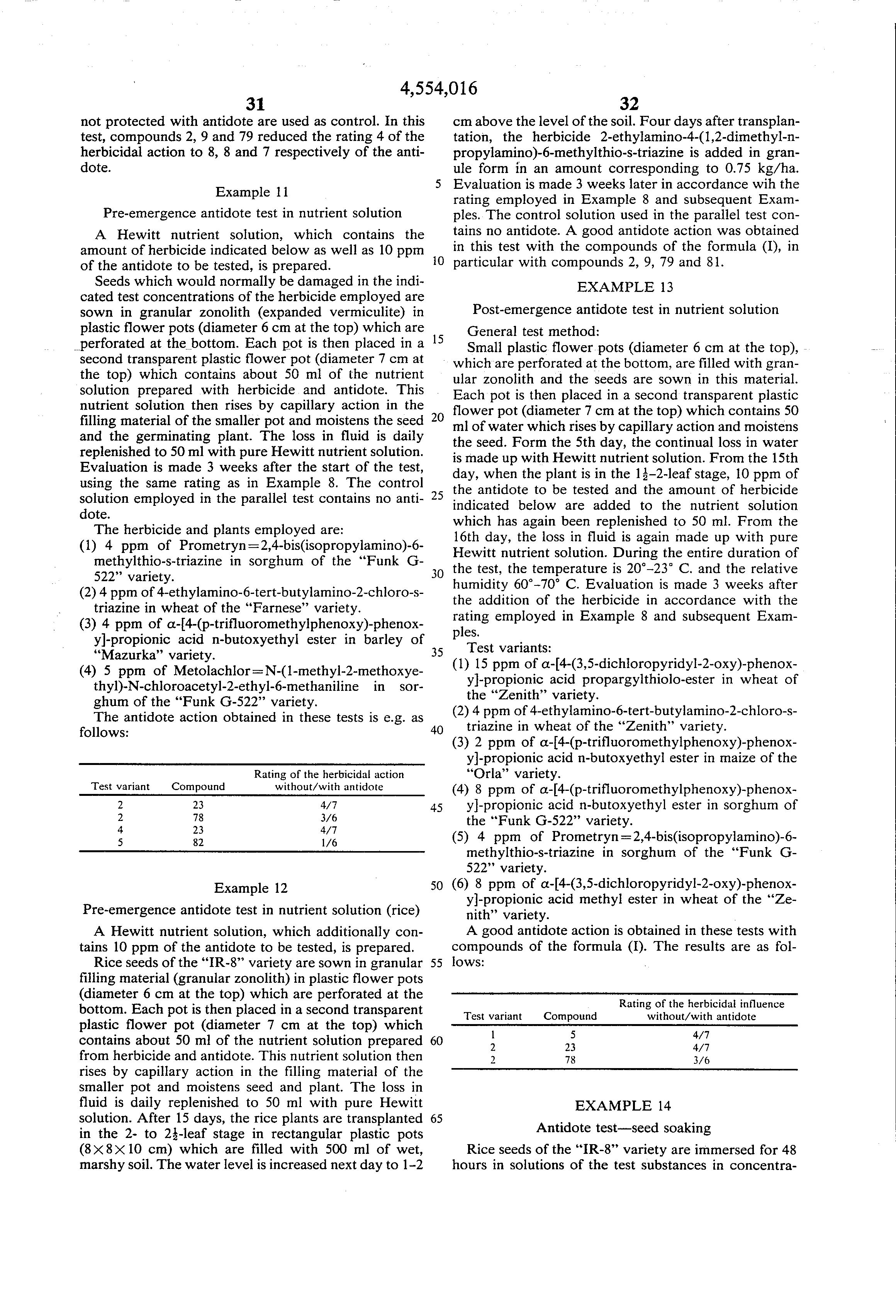 oxime derivatives for protecting plant crops