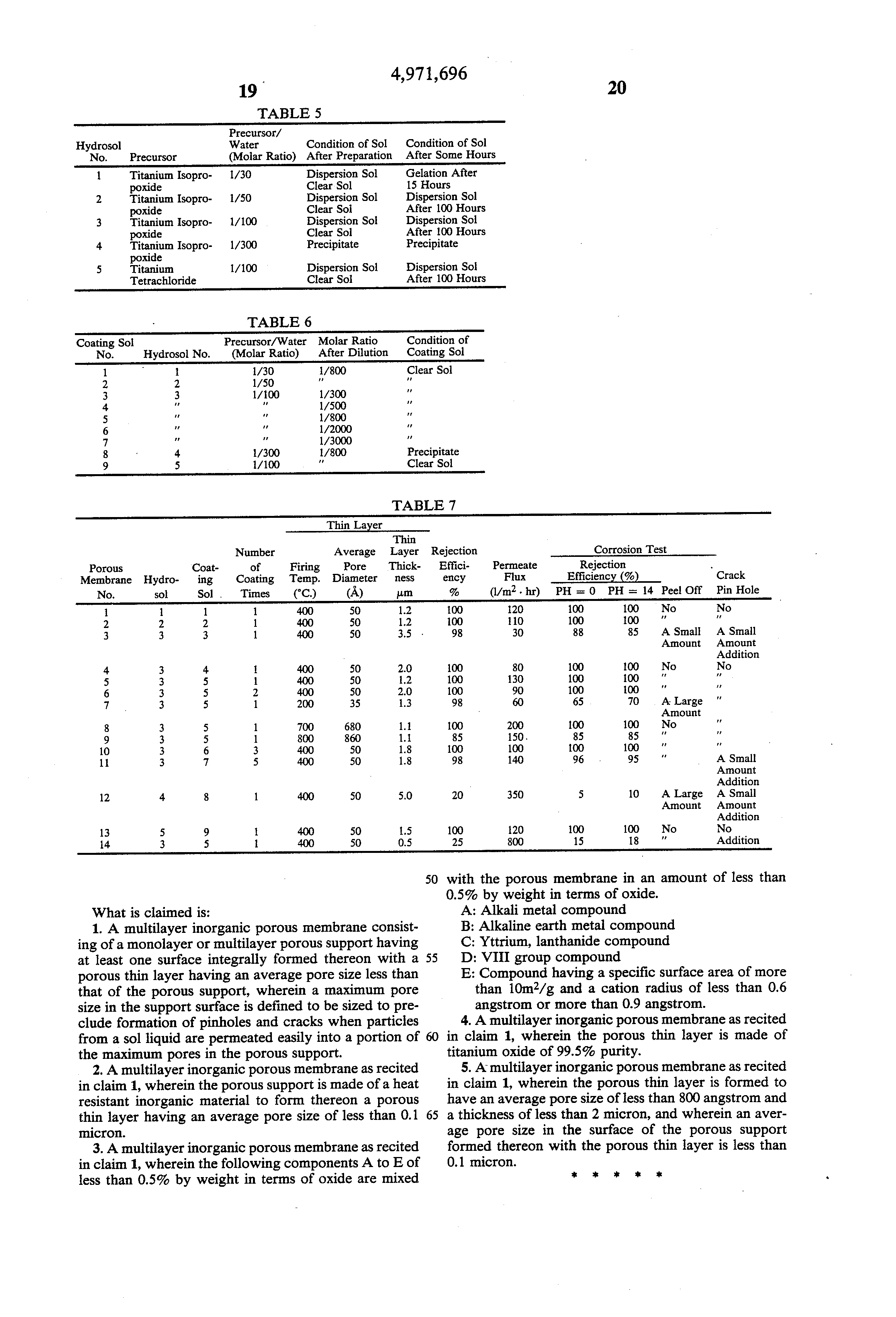inorganic porous membrane