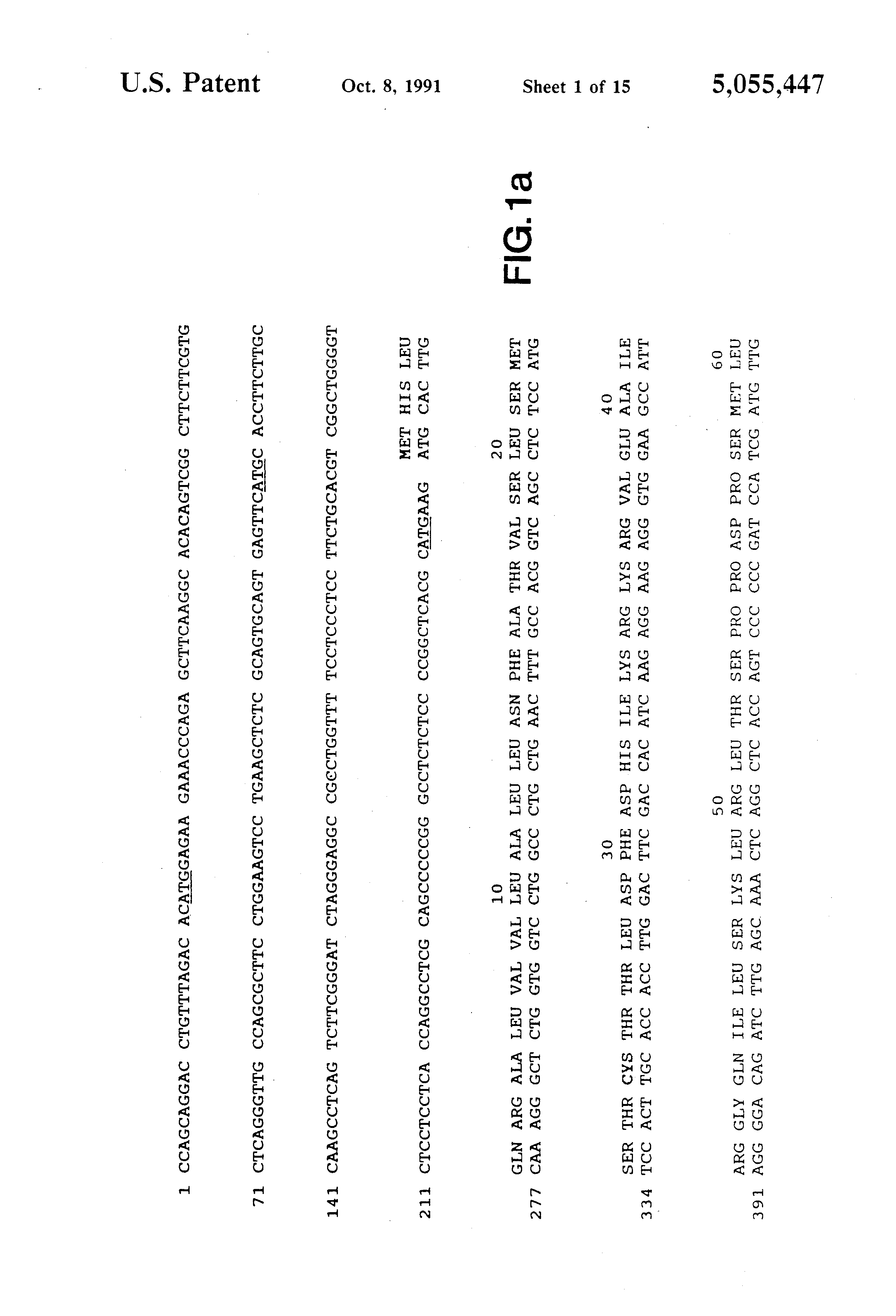 compositions for the treatment and prevention of septic shock