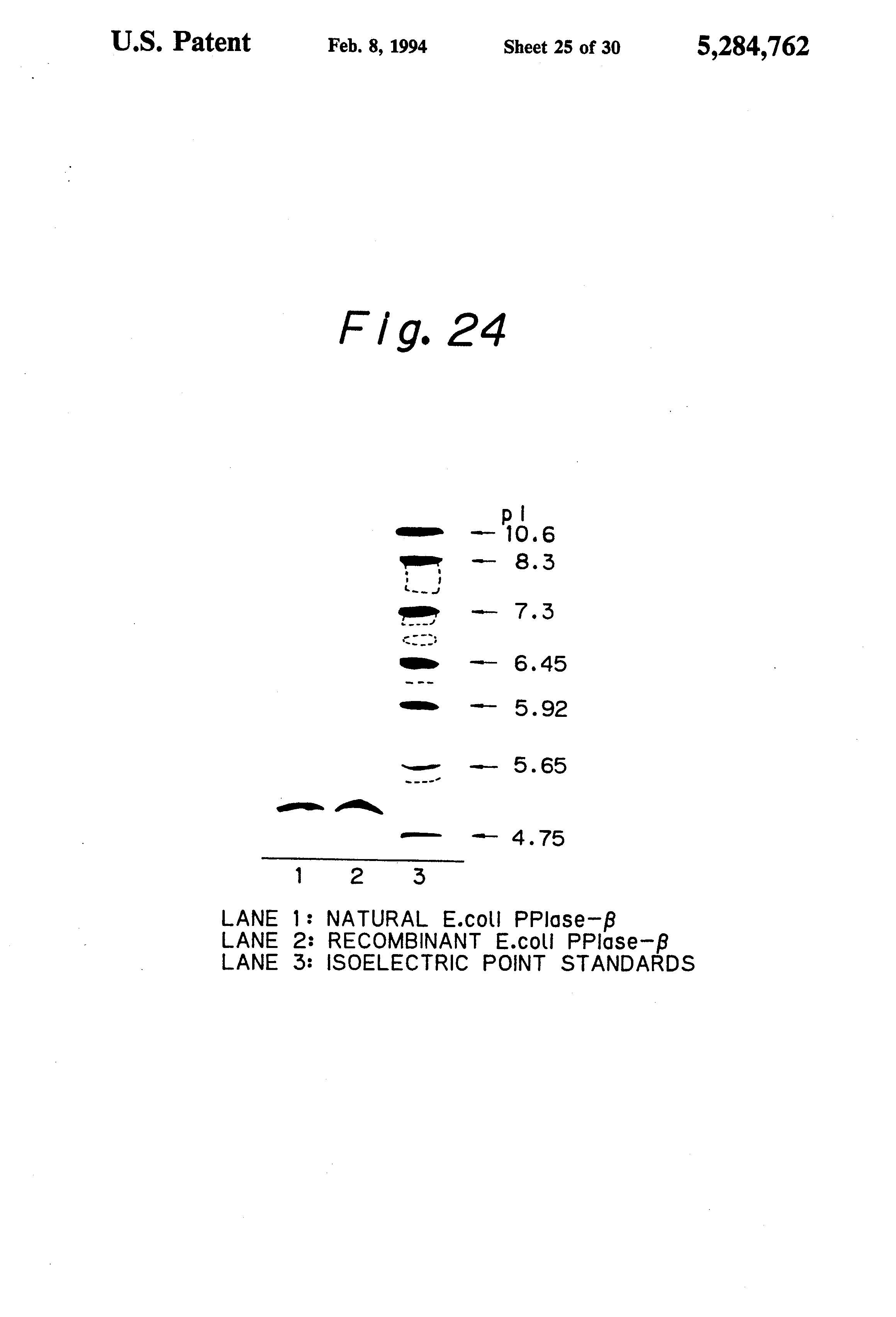 trans-isomerase