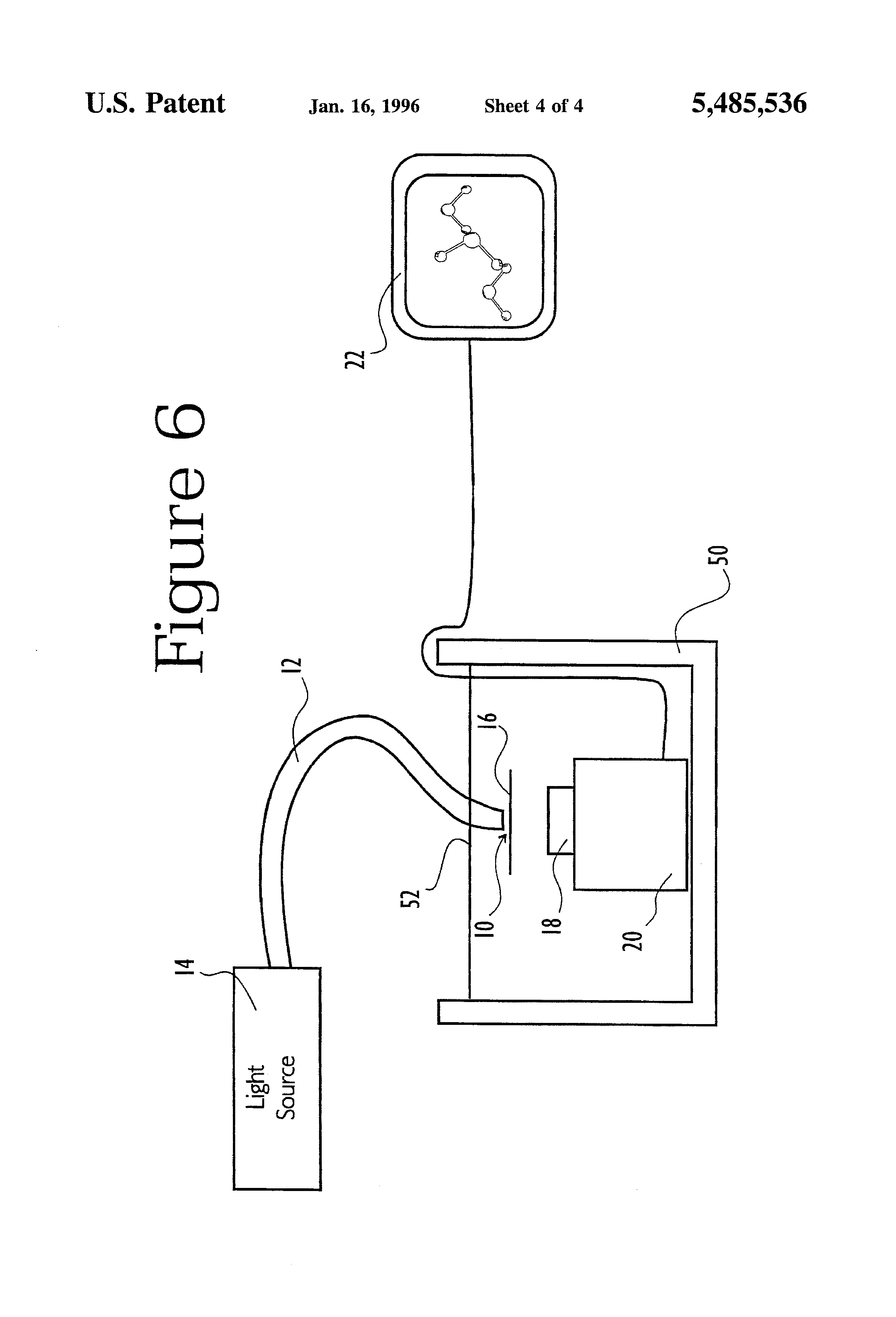 beneficial plant microbial